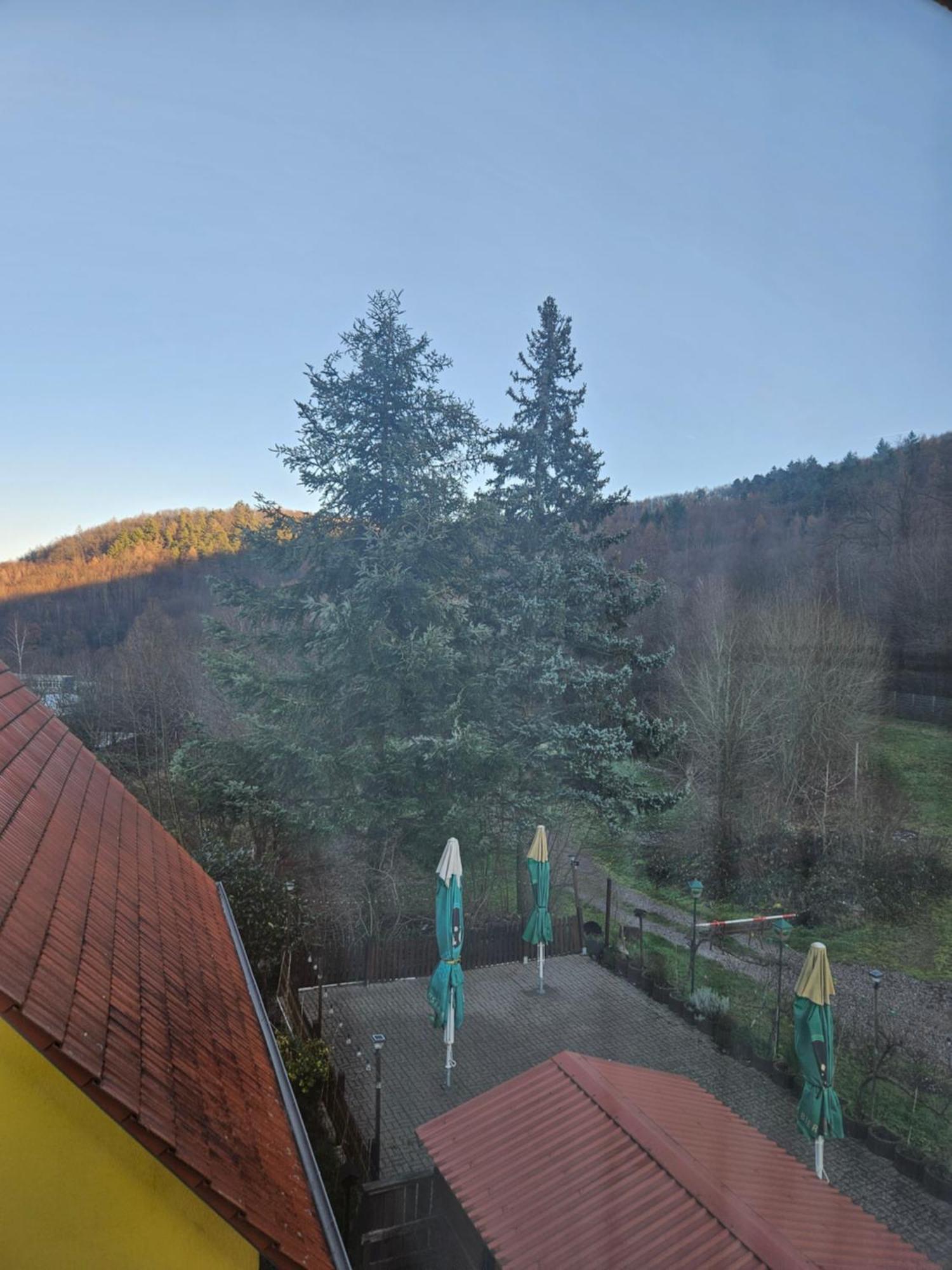 Naturfreundehaus Annweiler am Trifels Kültér fotó